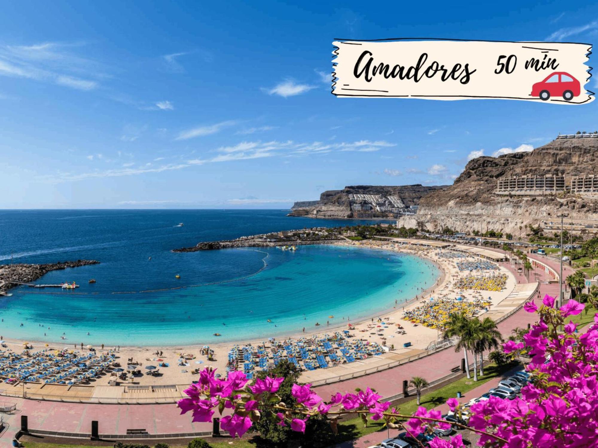 Apartamento Casa Alameda By Villagrancanaria